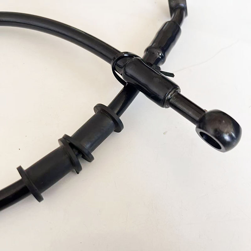 AN3 Moto hydraulischer gefloch – Ptfe Tube Bewertung und Preis